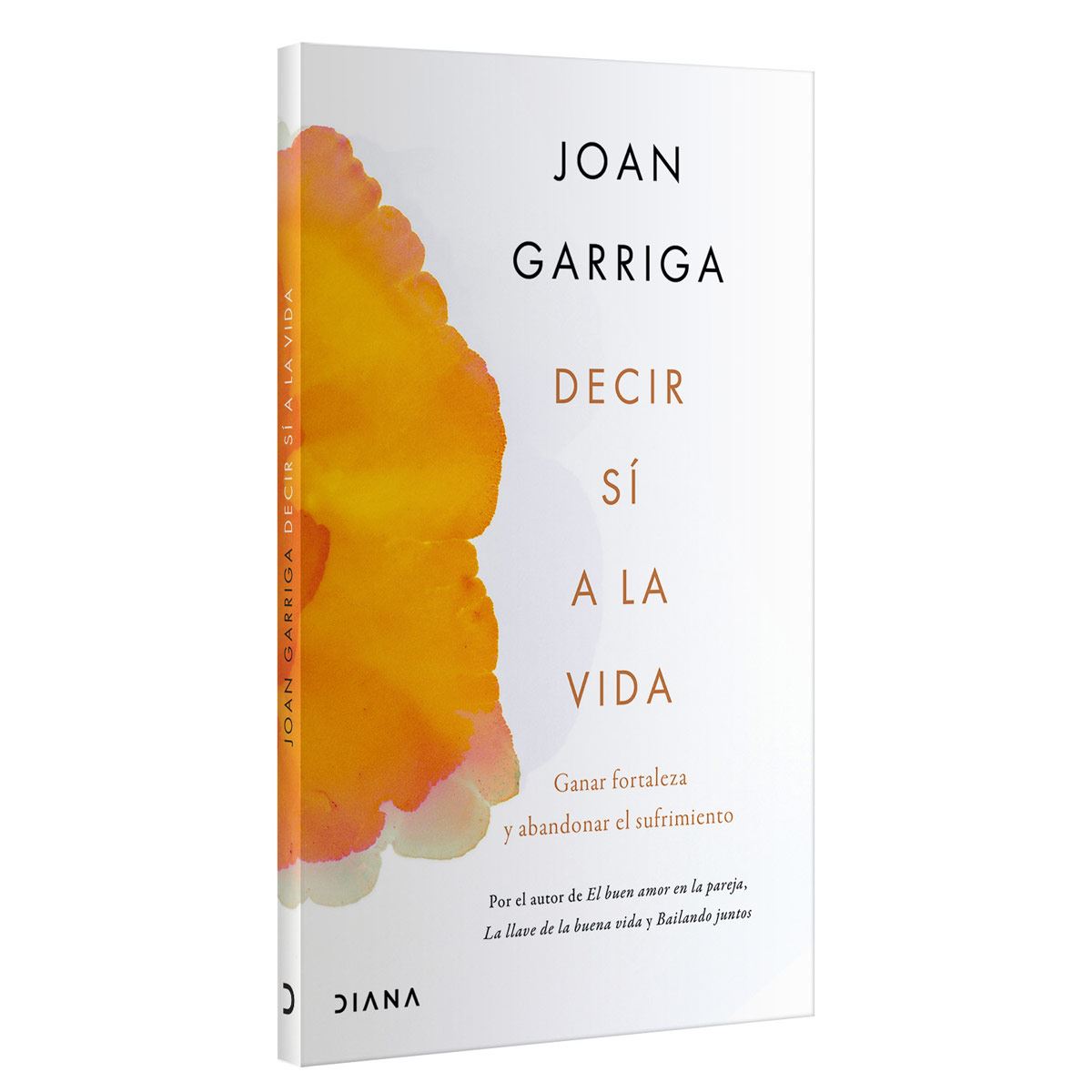 Deciir sí a la vida