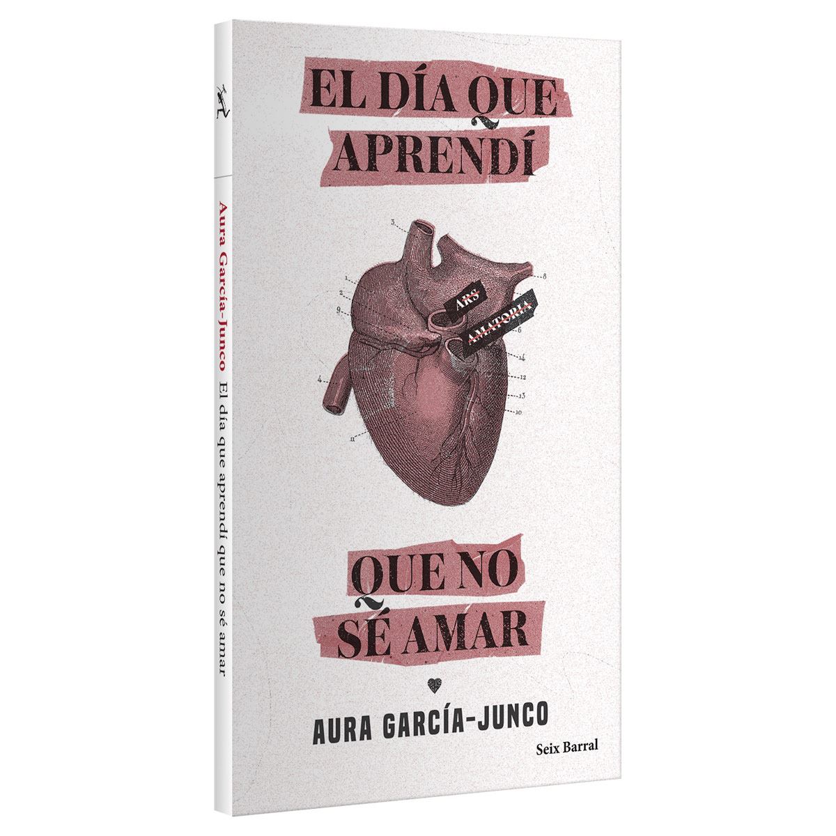 El día que aprendí que no sé amar