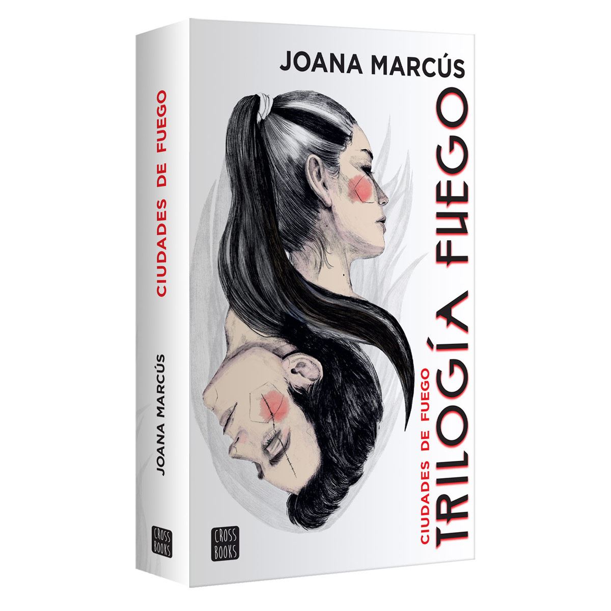 Trilogía fuego 3. Ciudades de fuego