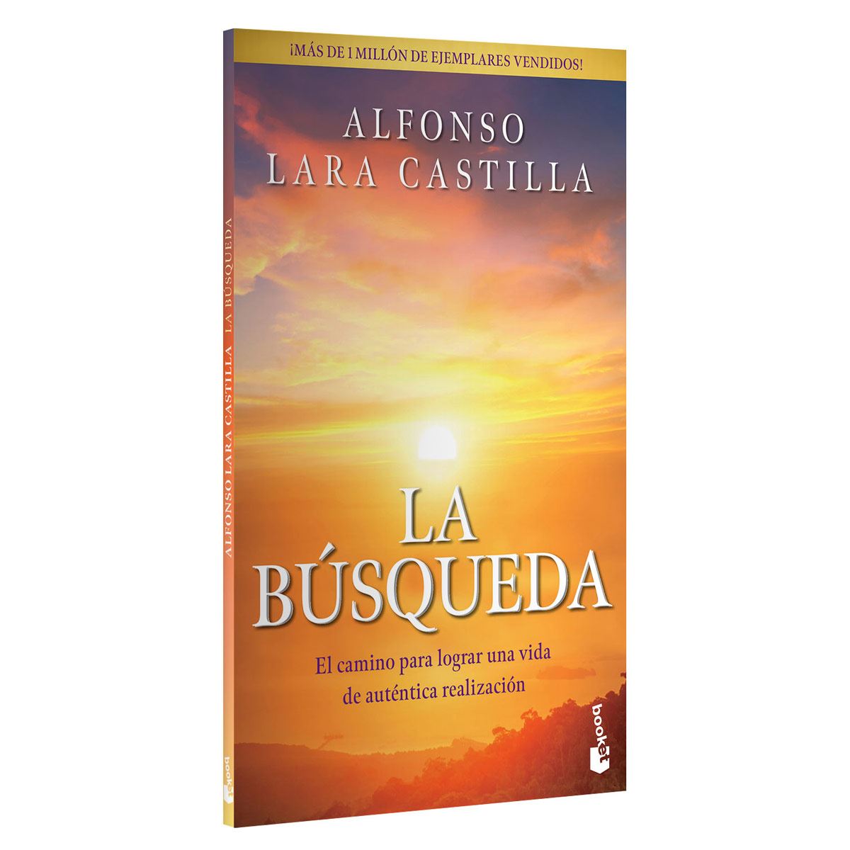 La búsqueda