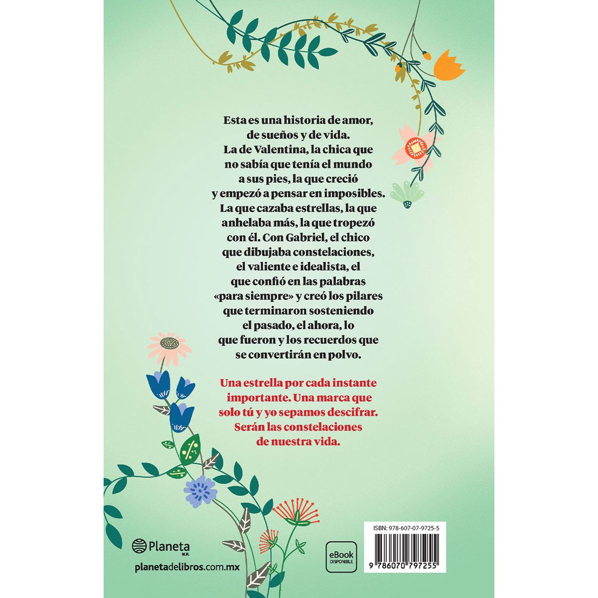 El chico que dibujaba constelaciones