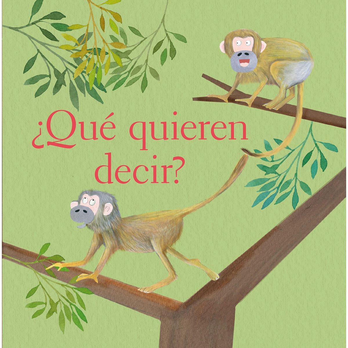 ¿qué Quieren Decir?