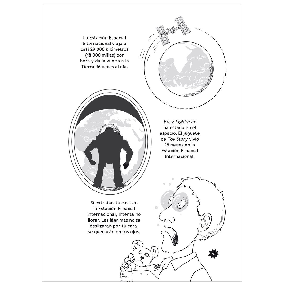 Datos Curiosos Para Niños