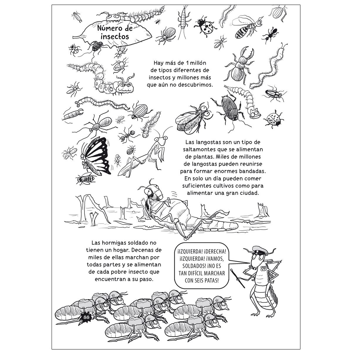 Datos Curiosos Para Niños