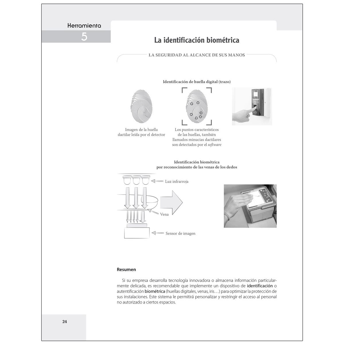 Seguridad Económica