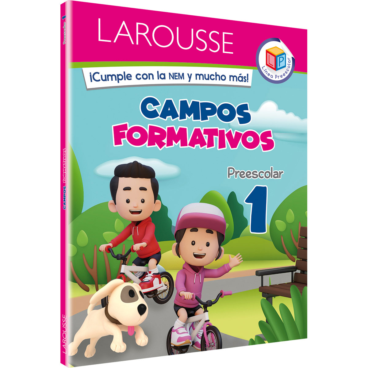 Campos Formativos 1