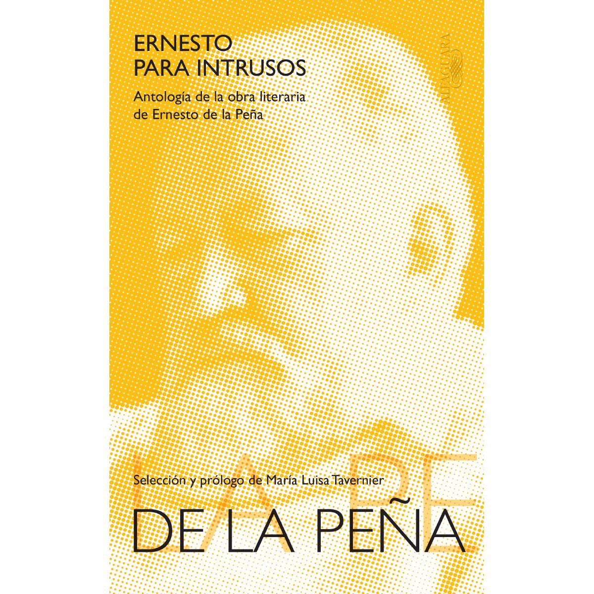 Ernesto para Intrusos