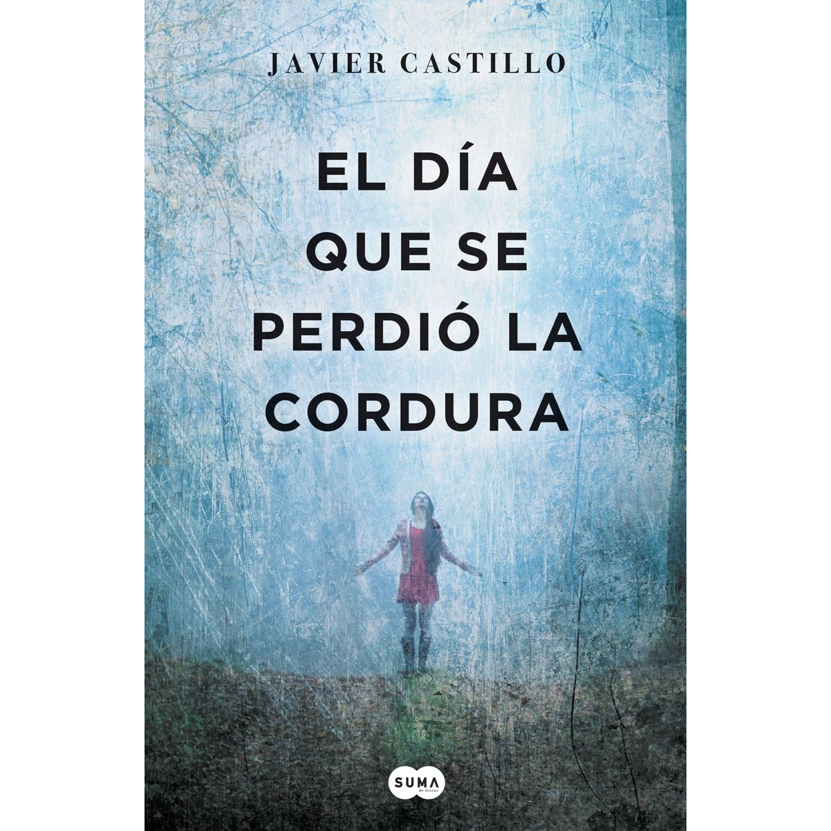 El Día Que Se Perdió La Cordura