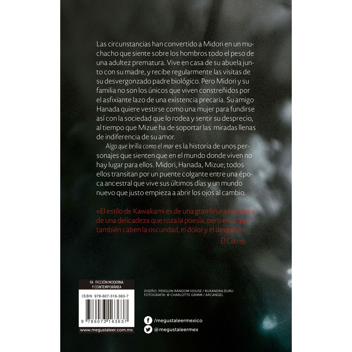 Algo que brilla como el mar