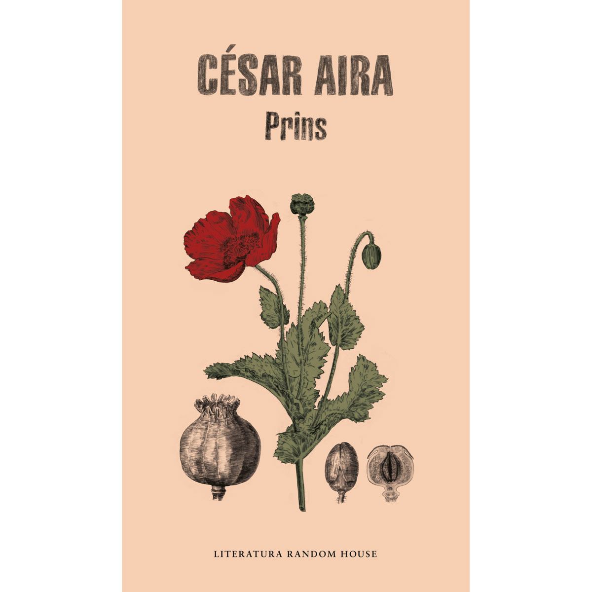 Prins