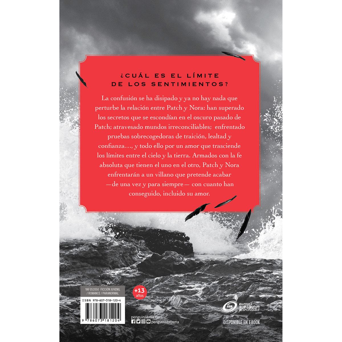 Silencio (Hush hush 3)