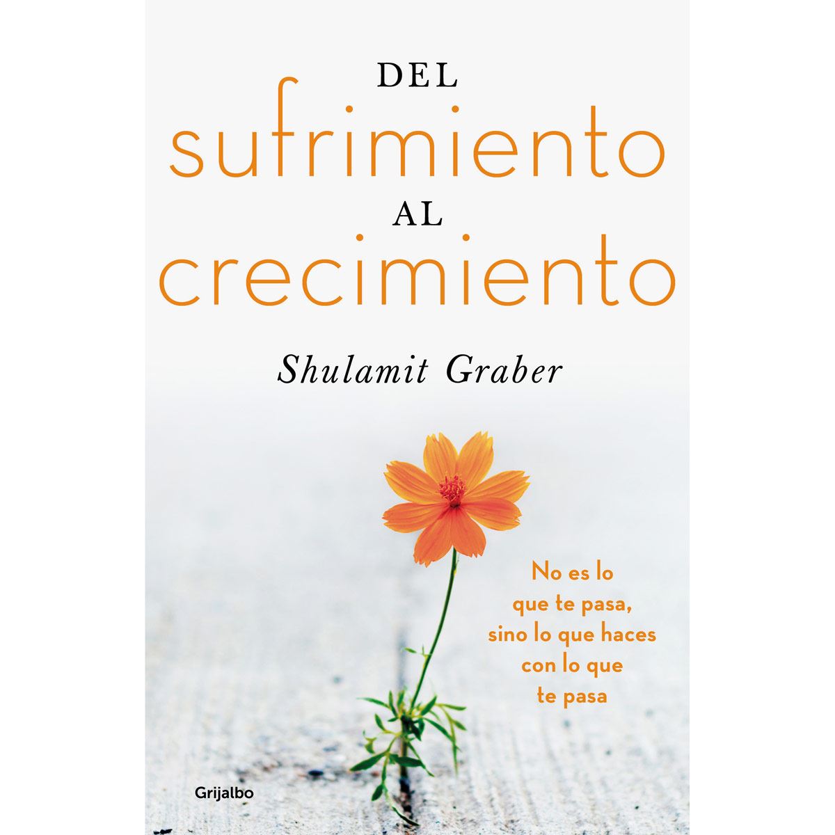Del Sufrimiento Al Crecimiento