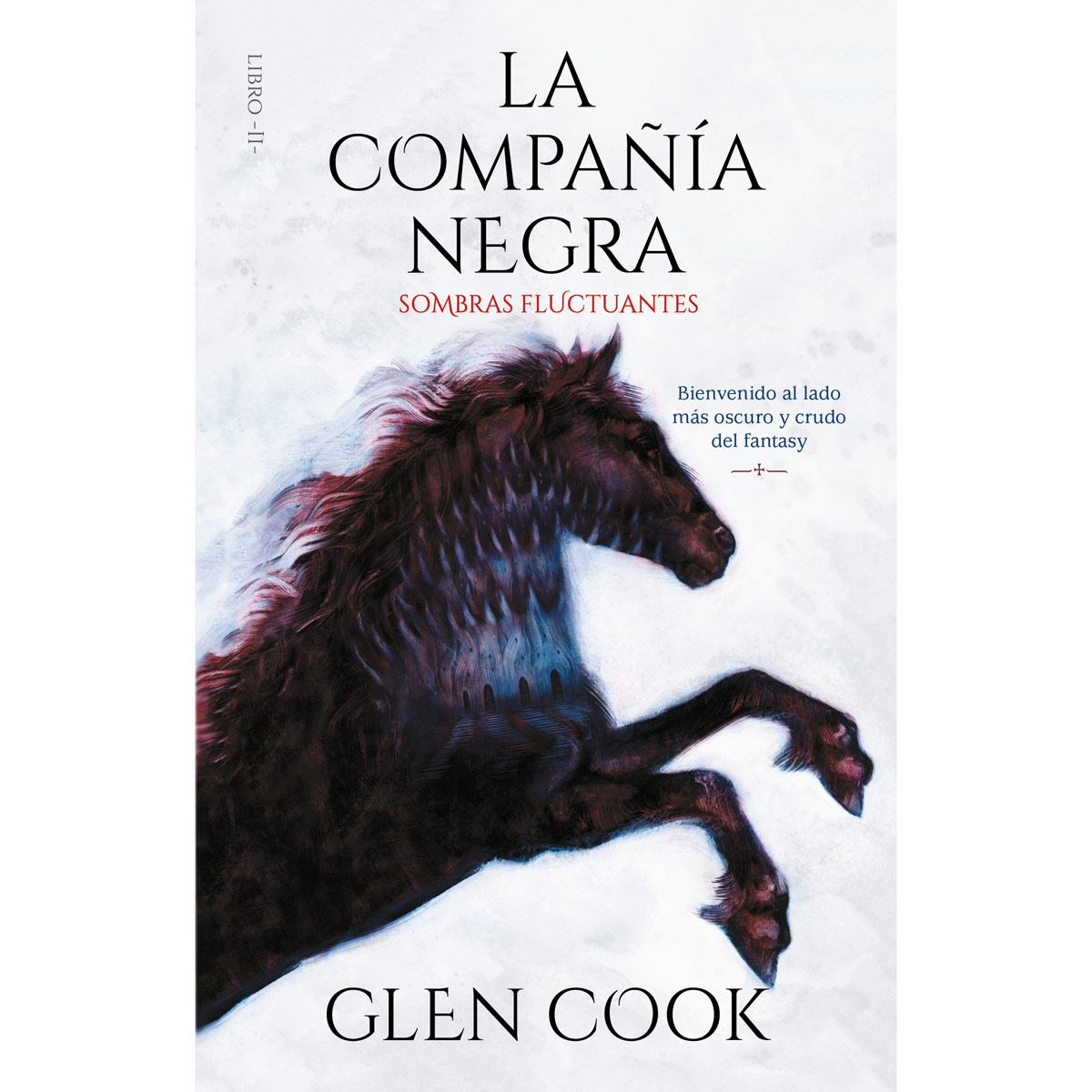 Sombras fluctuantes. La compañía negra 2