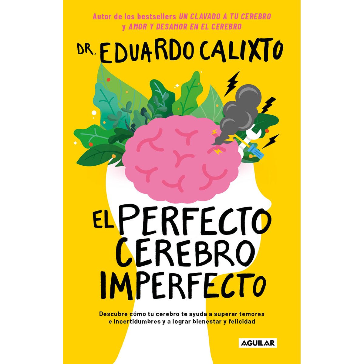 El perfecto cerebro imperfecto