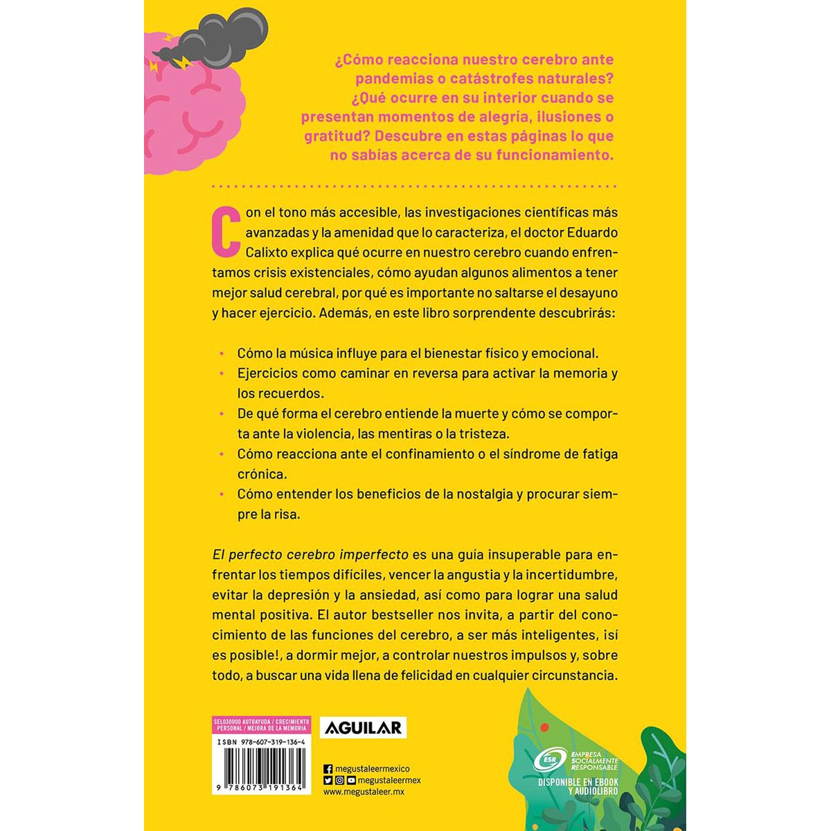 El perfecto cerebro imperfecto