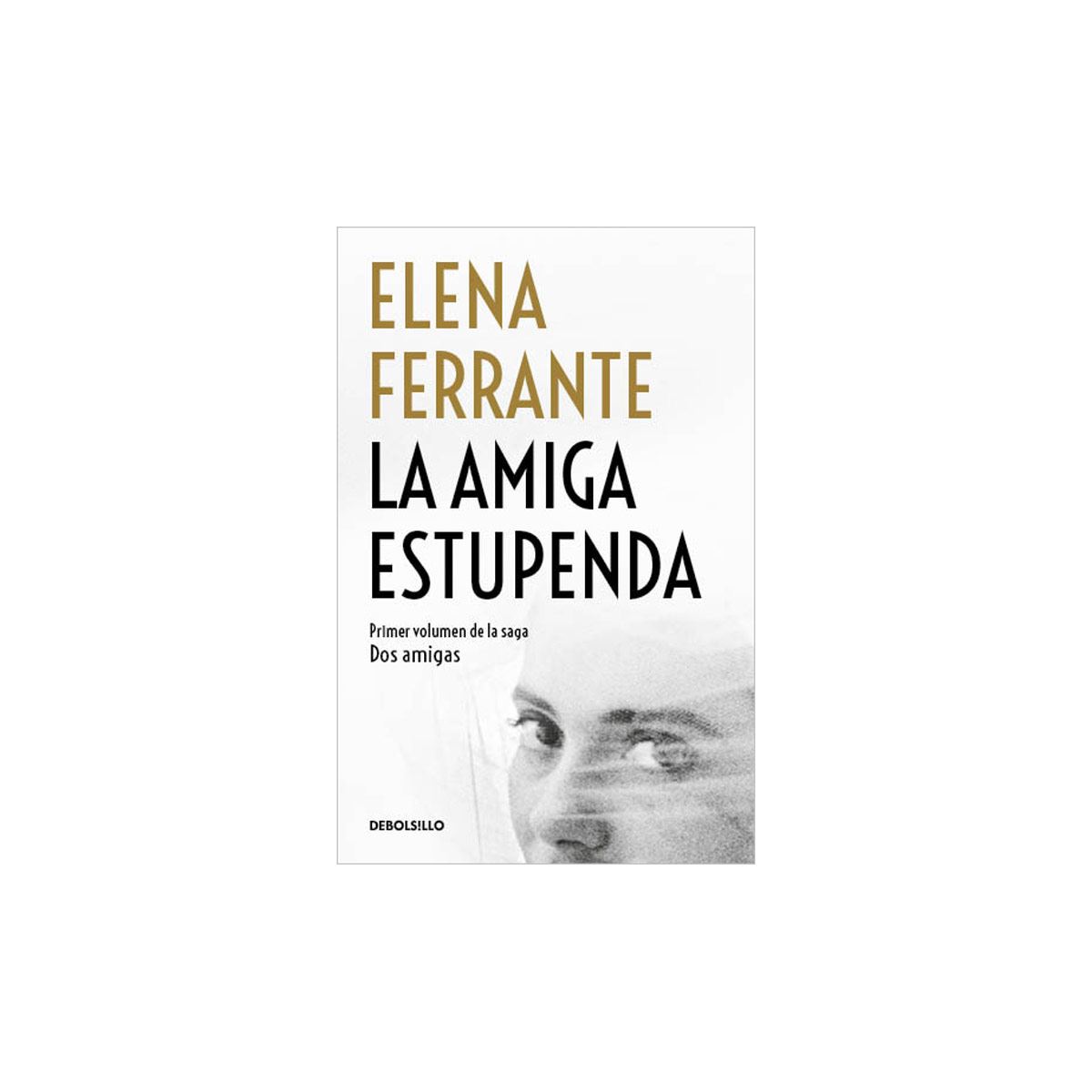 La Amiga Estupenda Saga Dos Amigas 1