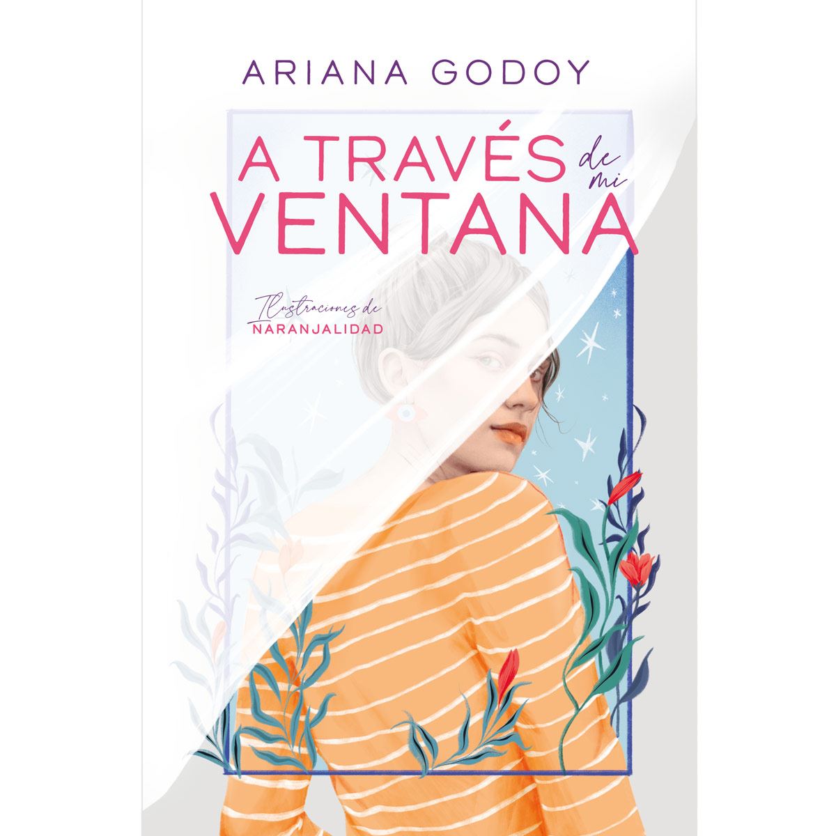 A través de mi ventana (edición ilustrada)