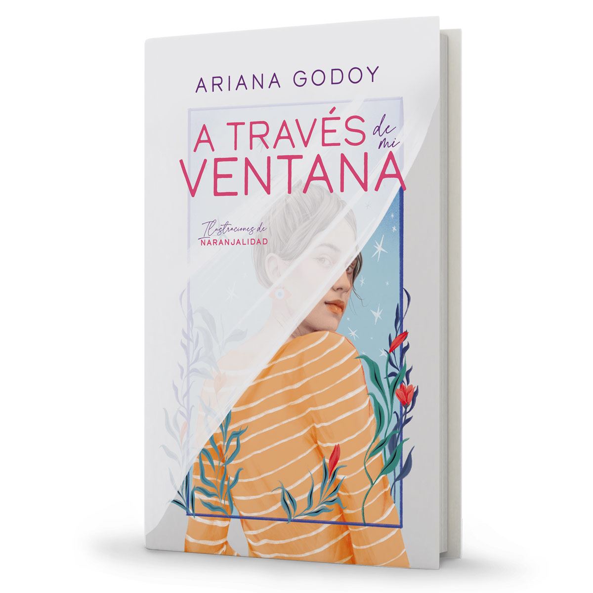 A través de mi ventana (edición ilustrada)