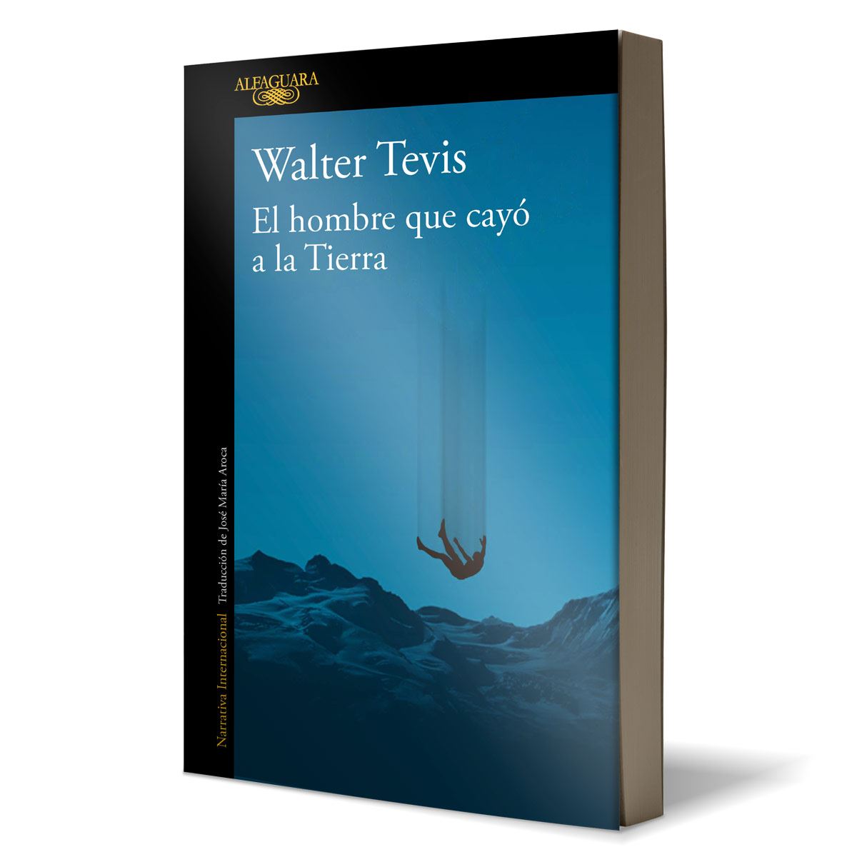 El Hombre Que Cayó A La Tierra