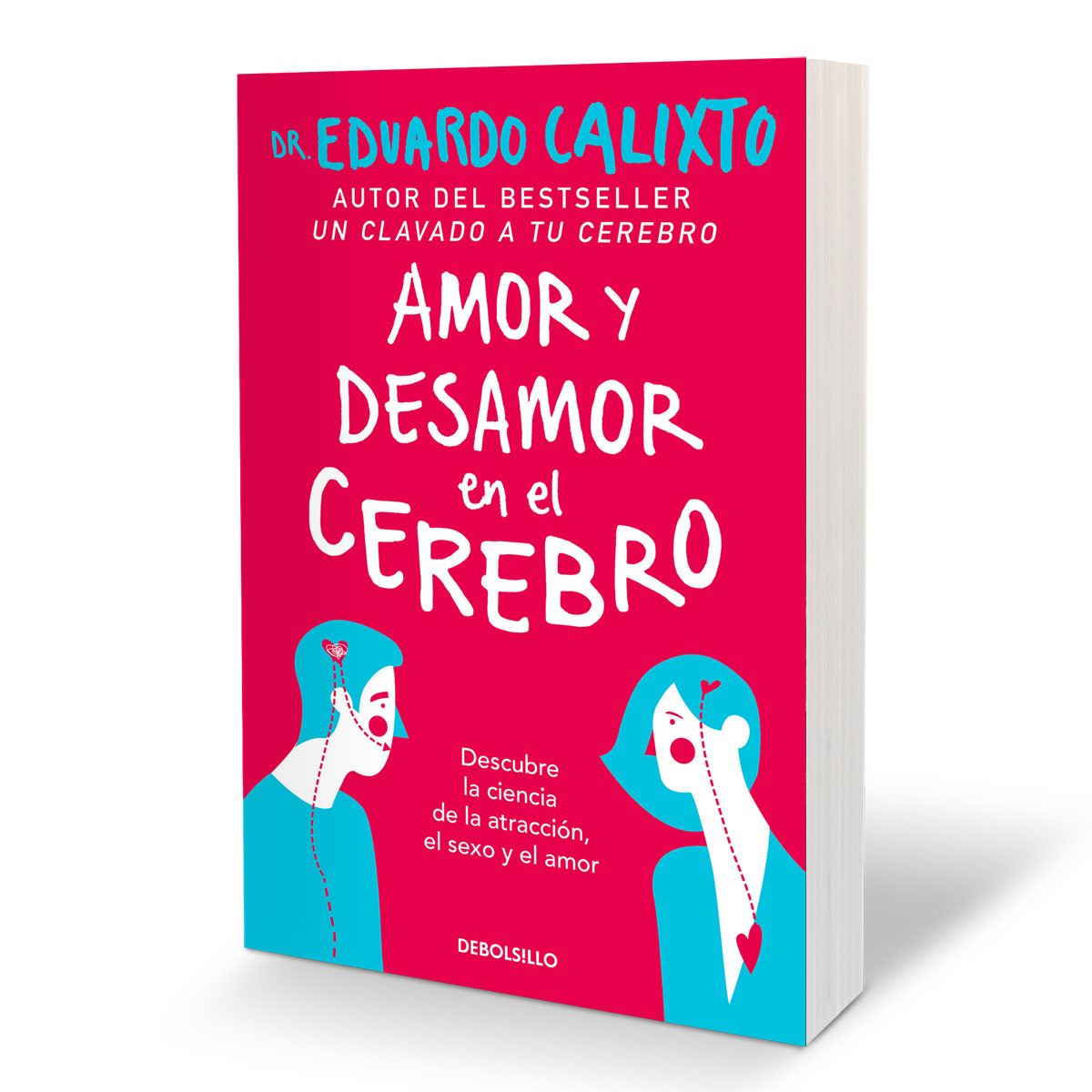Amor y desamor en el cerebro