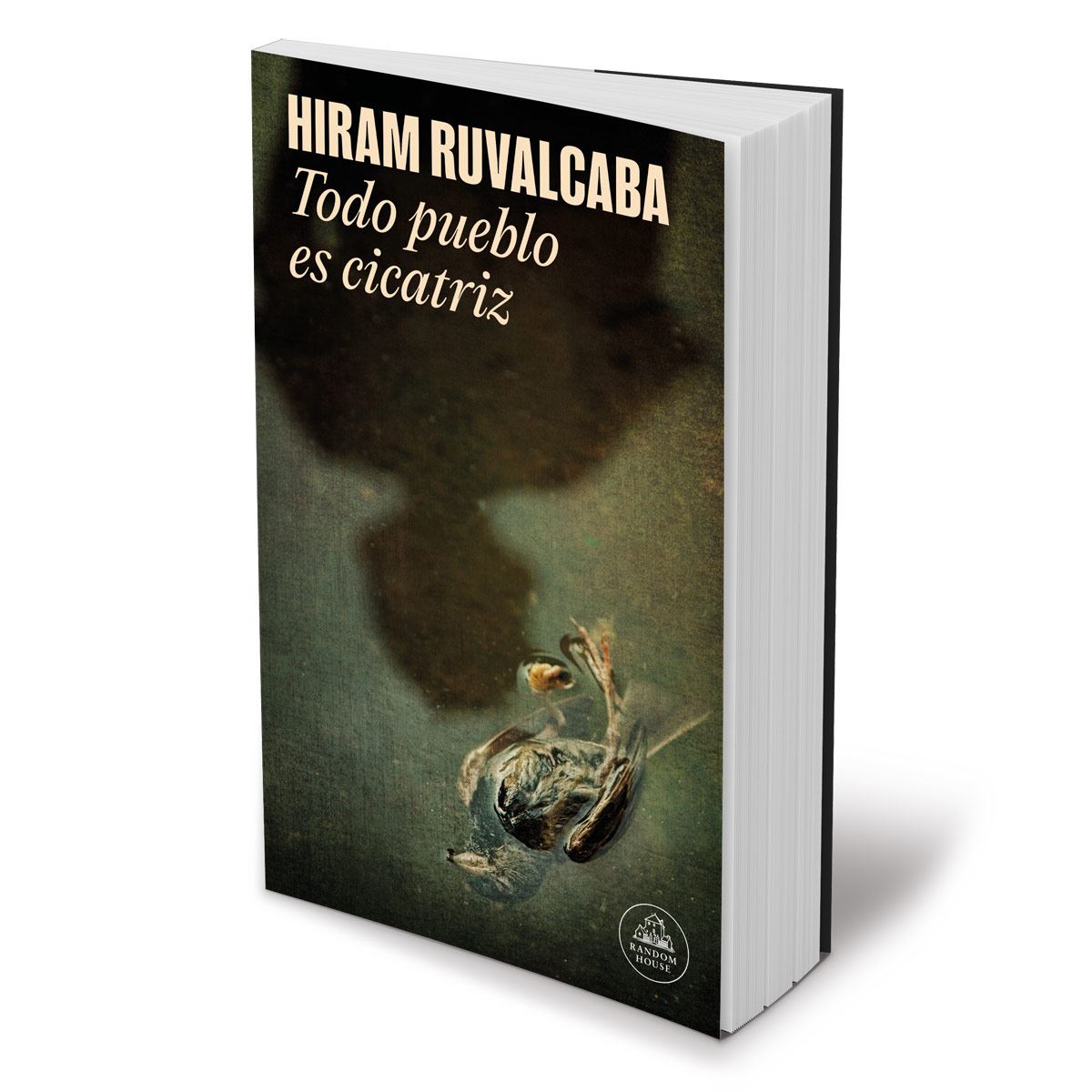 Todo pueblo es cicatriz