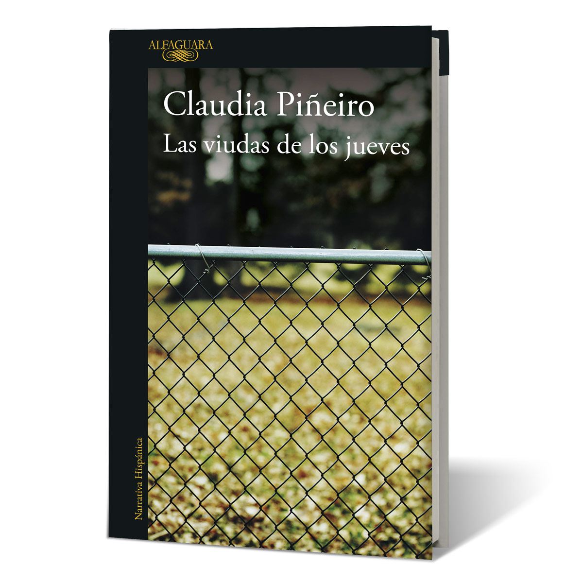Las viudas de los jueves