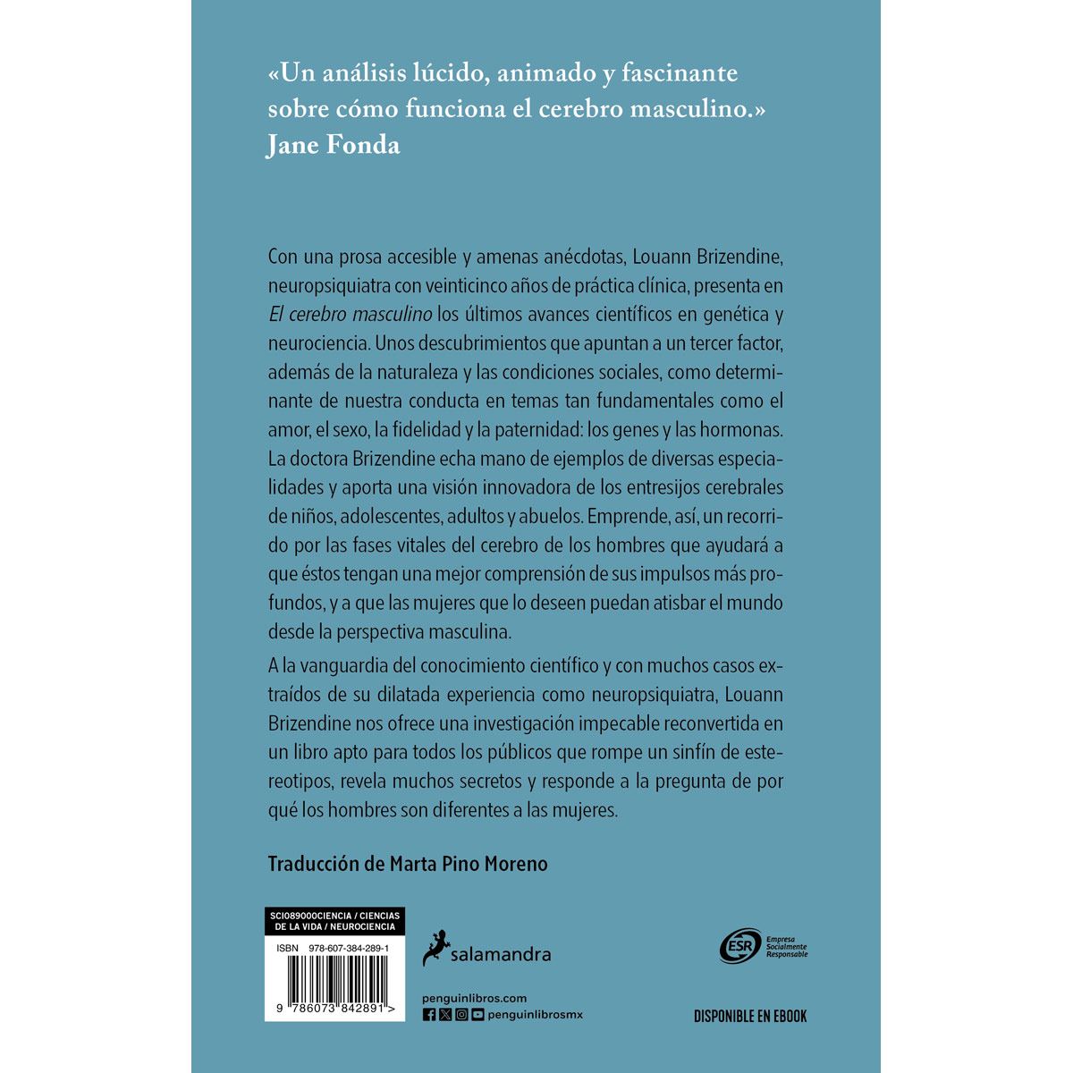 El cerebro masculino