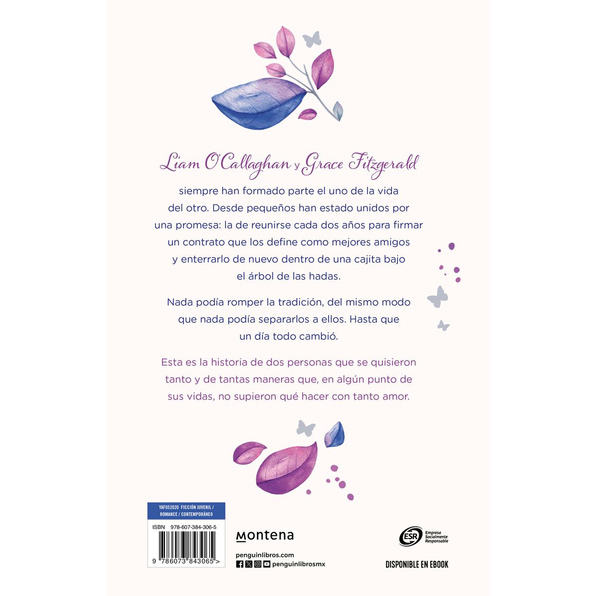 El tiempo que tuvimos