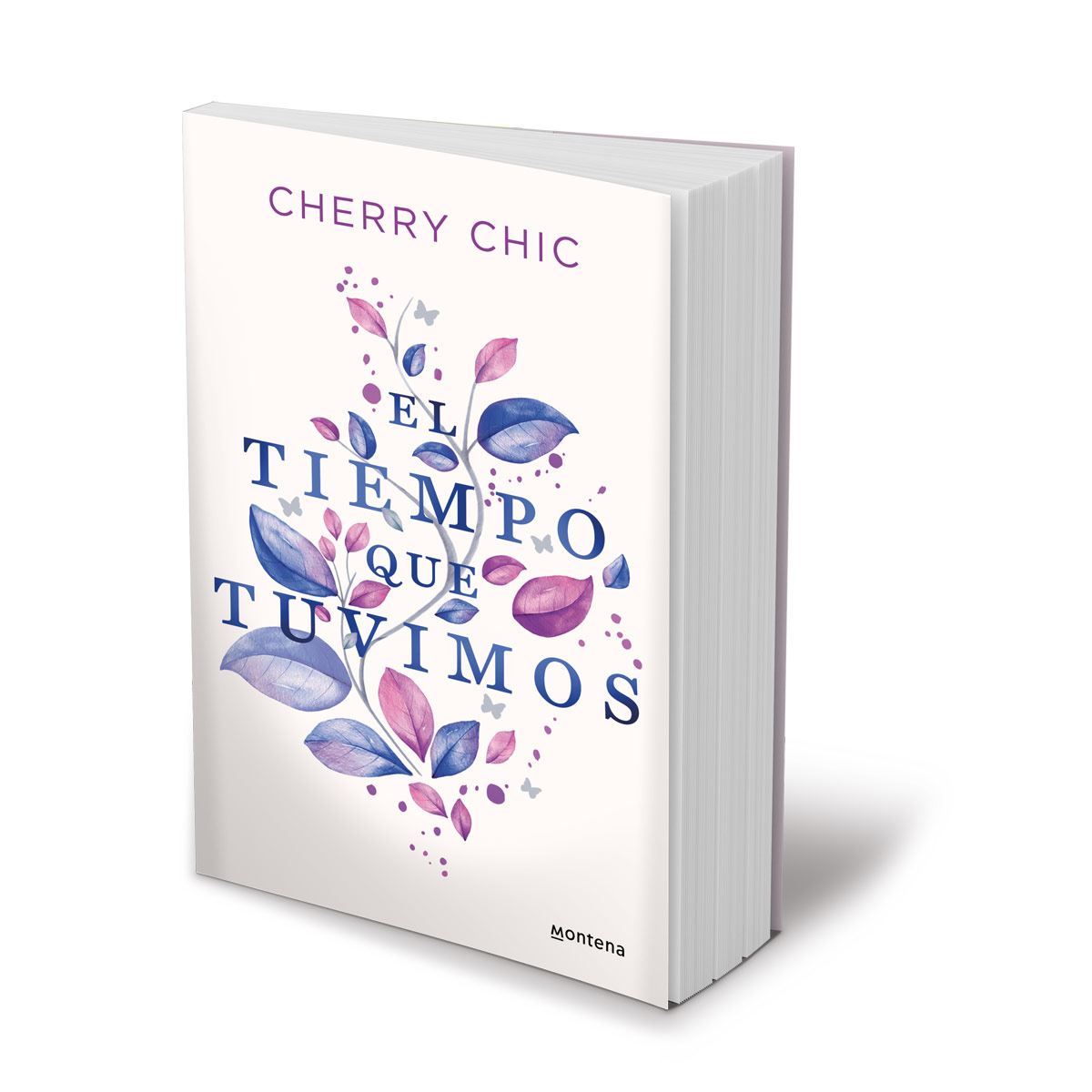 El tiempo que tuvimos