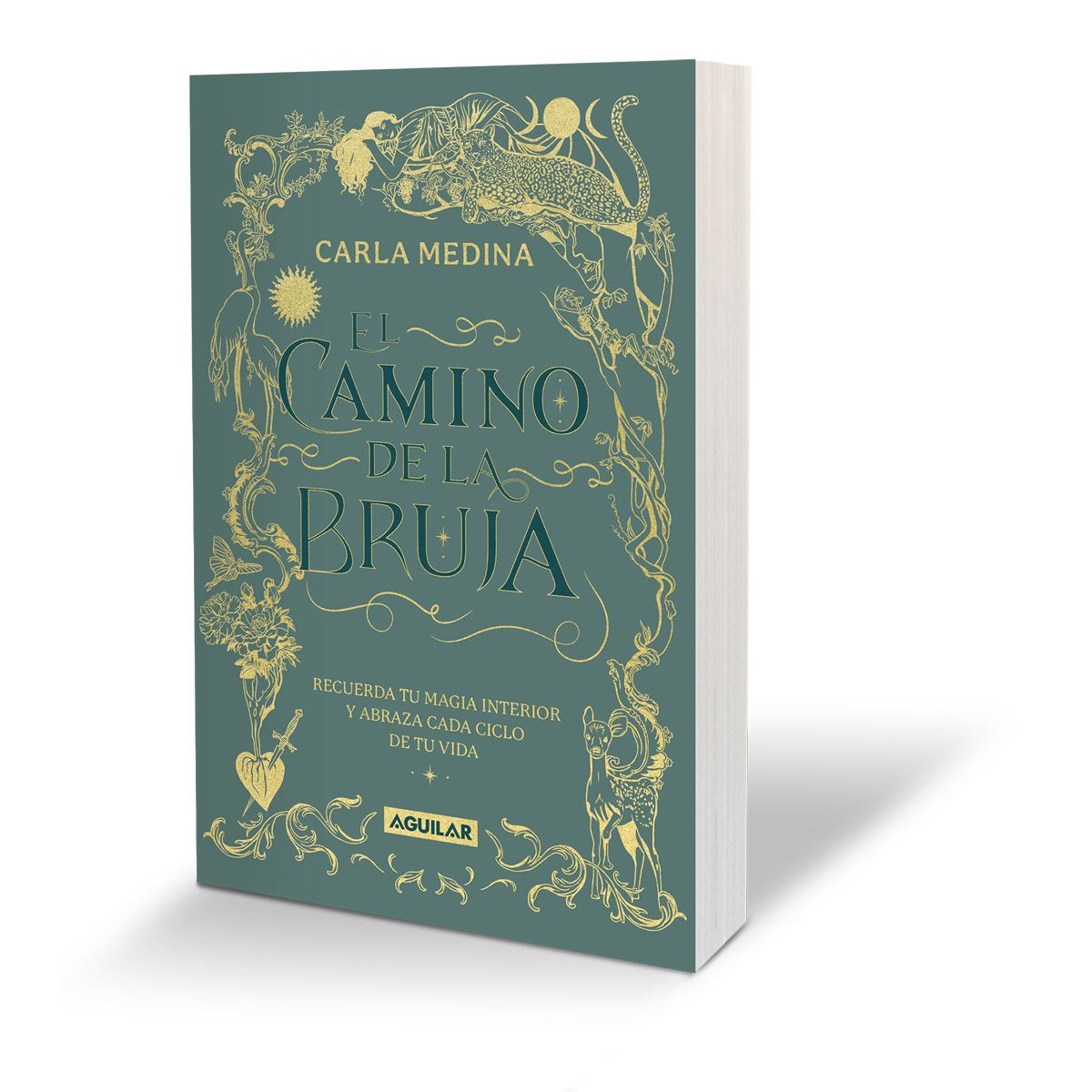 El camino de la bruja