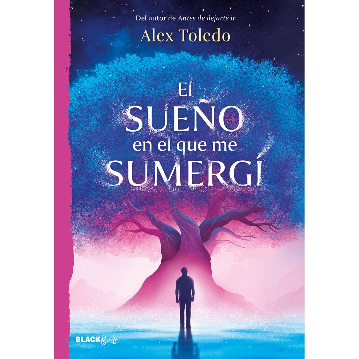 El sueño en el que me sumergí