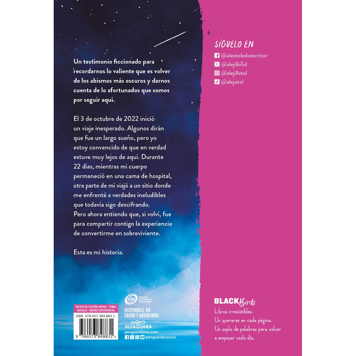 El sueño en el que me sumergí