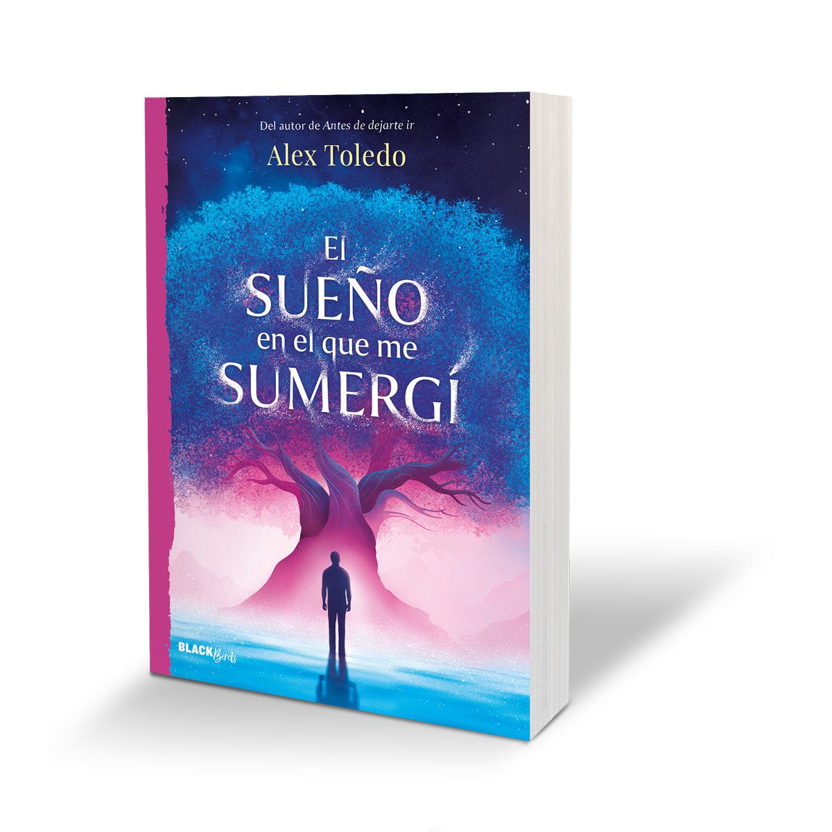 El sueño en el que me sumergí