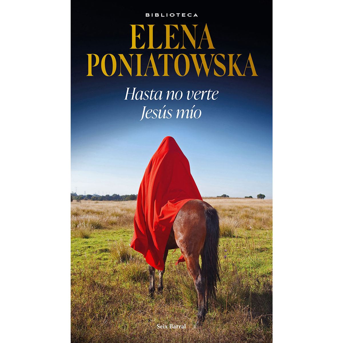 Hasta no verte Jesús mío