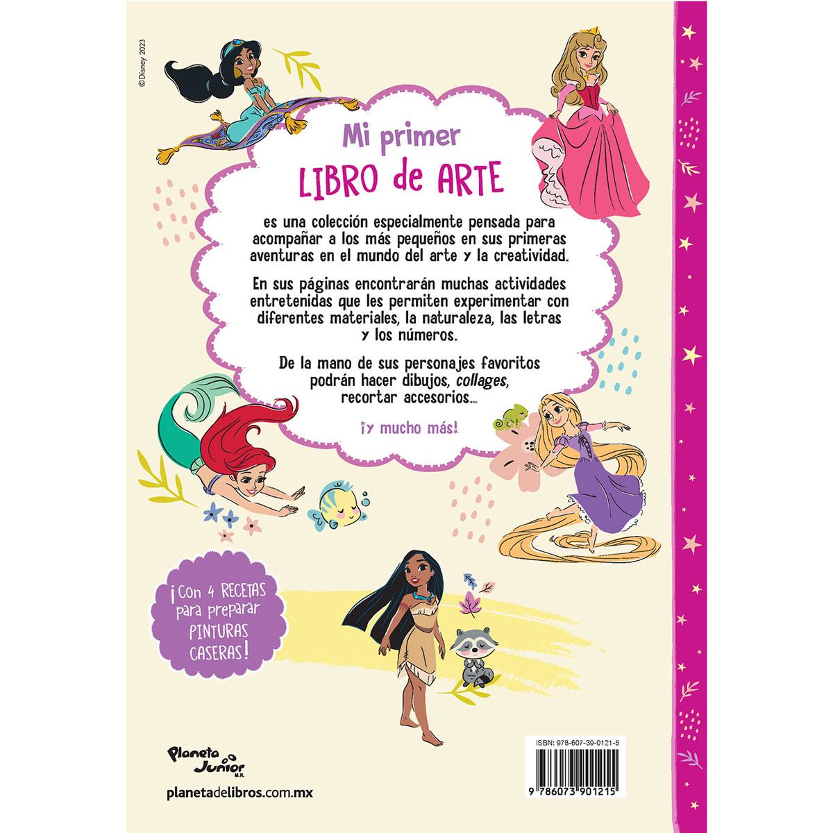 Disney Princesa Mi primer libro de arte