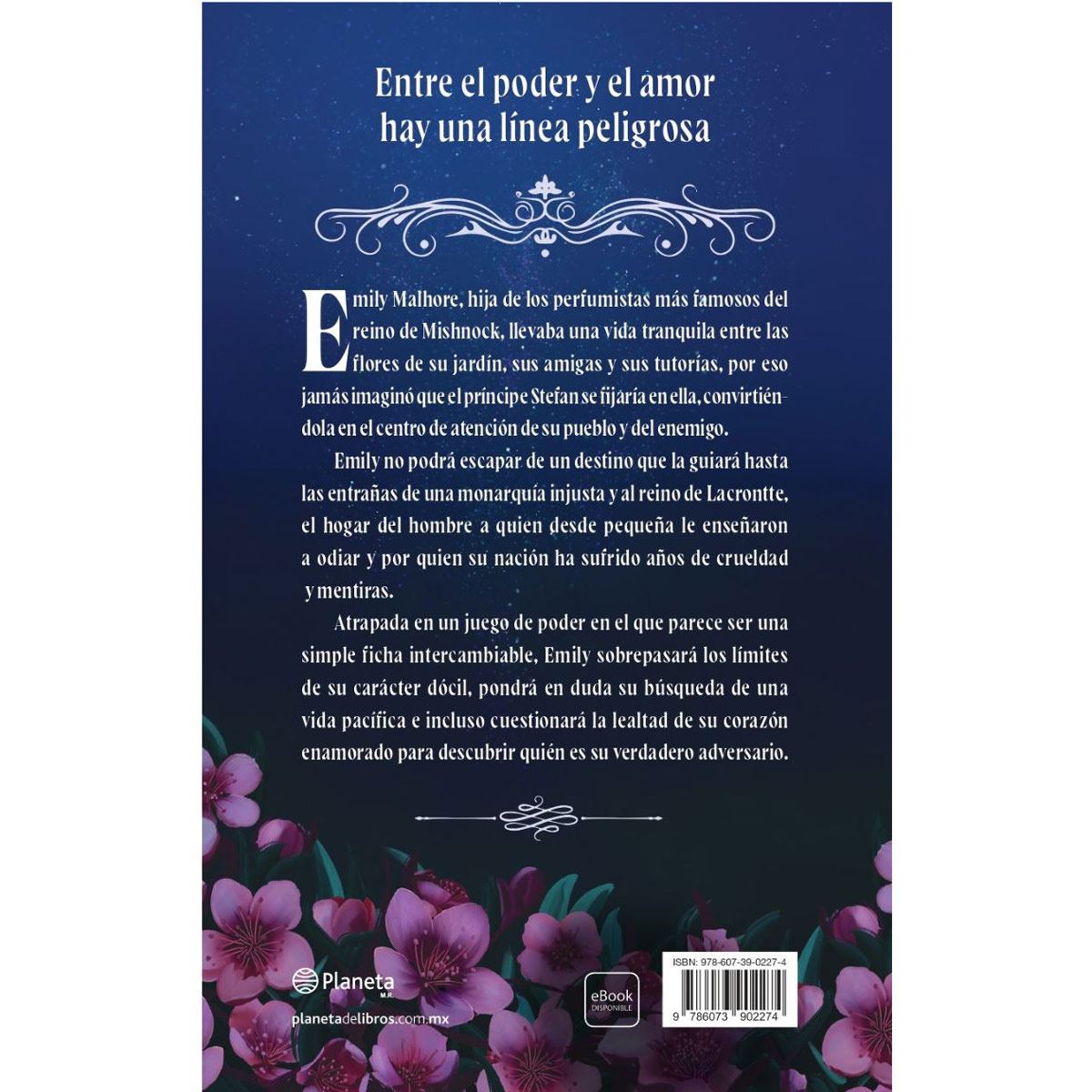 Imagen del producto