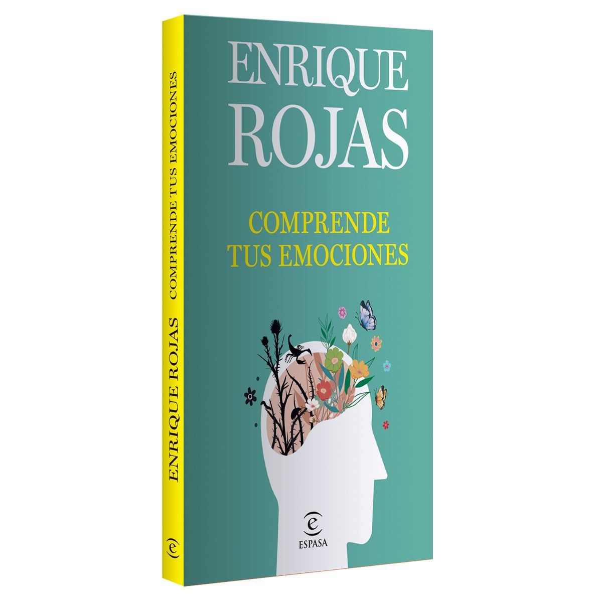 Comprende tus emociones