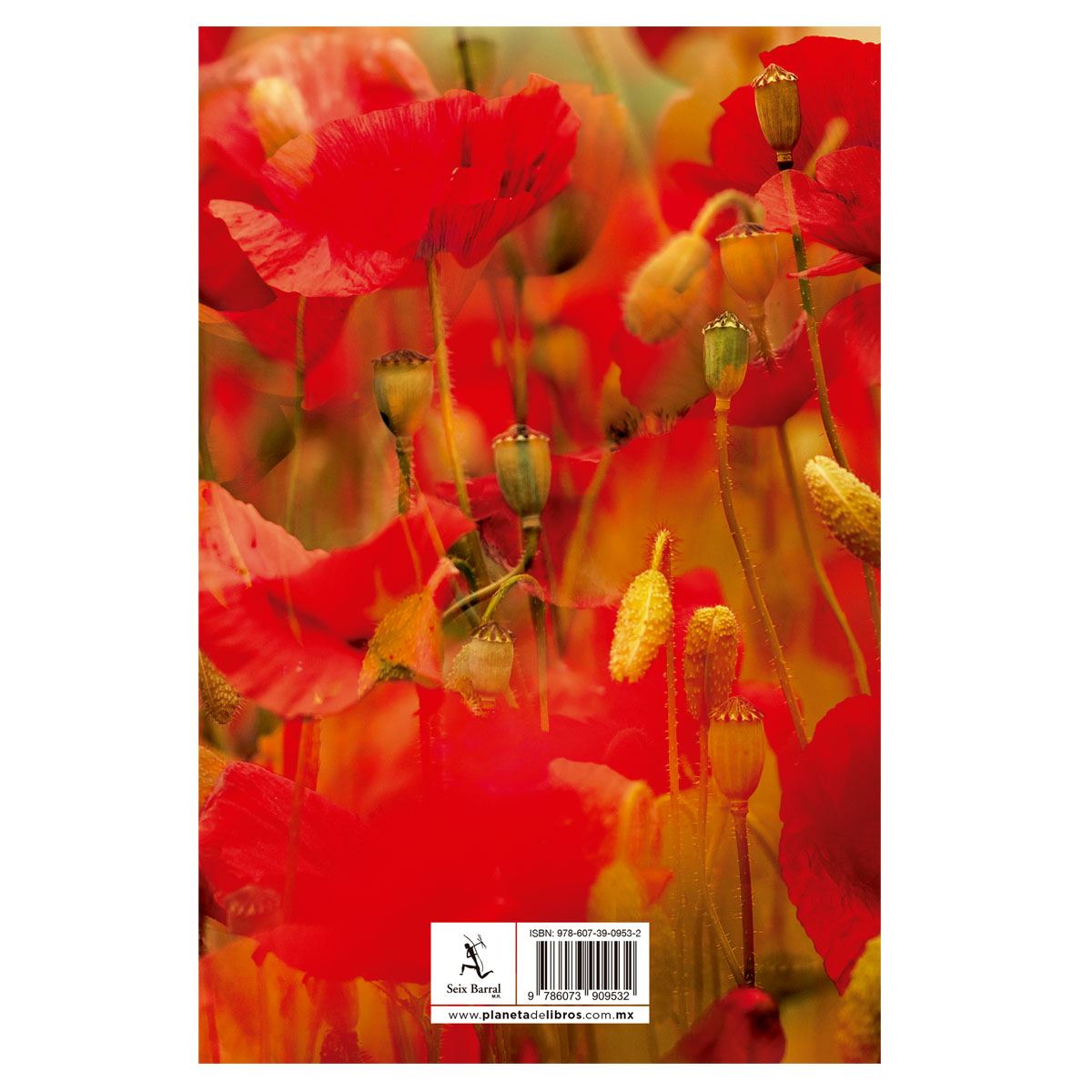 Cien sonetos de amor