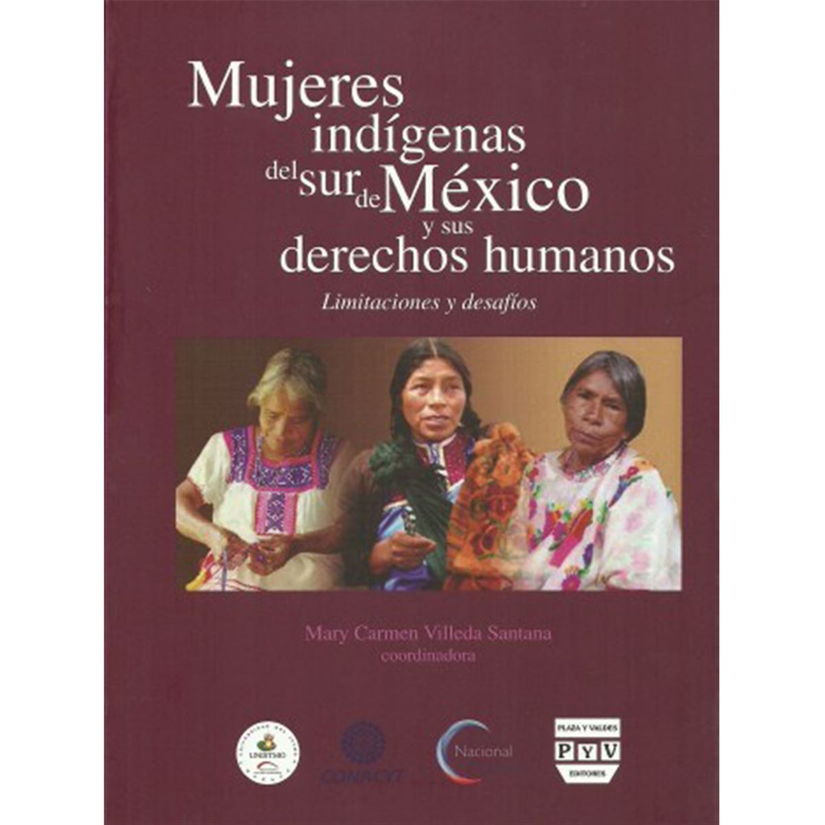 Mujeres indígenas del sur de Mexico y sus derechos humanos