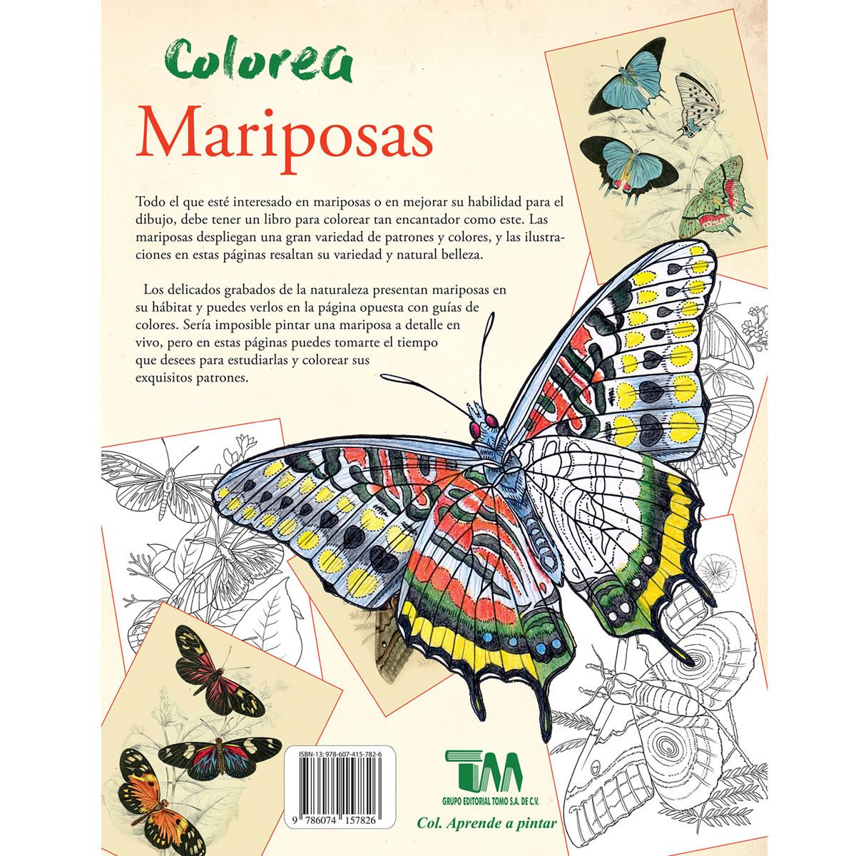Dibujo de Mariposa fantasía para Colorear  Mariposas para colorear,  Dibujos de mariposas, Dibujos de mariposas infantiles