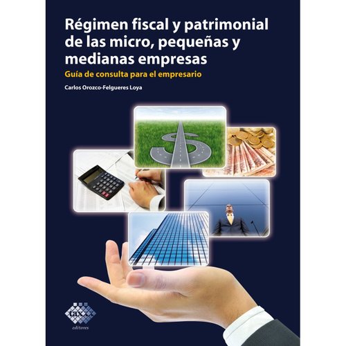 Régimen fiscal y patrimonial de las micro&#44; pequeñas y medianas empresas. Guía de consulta para el empresario