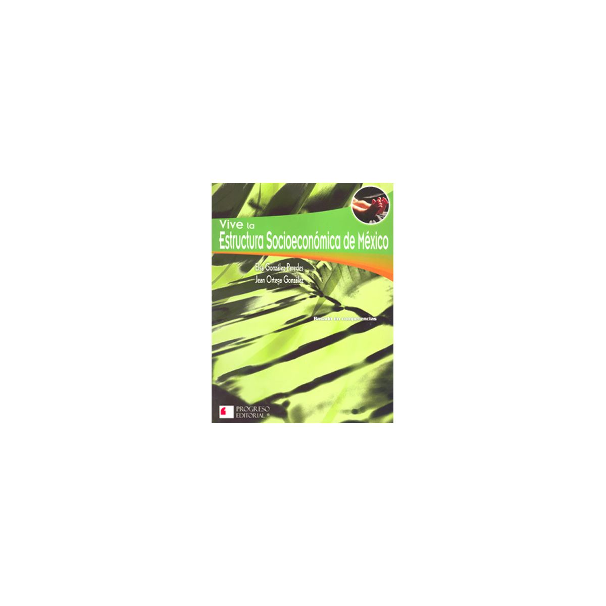 Vive La Estructura Socioeconómica De México