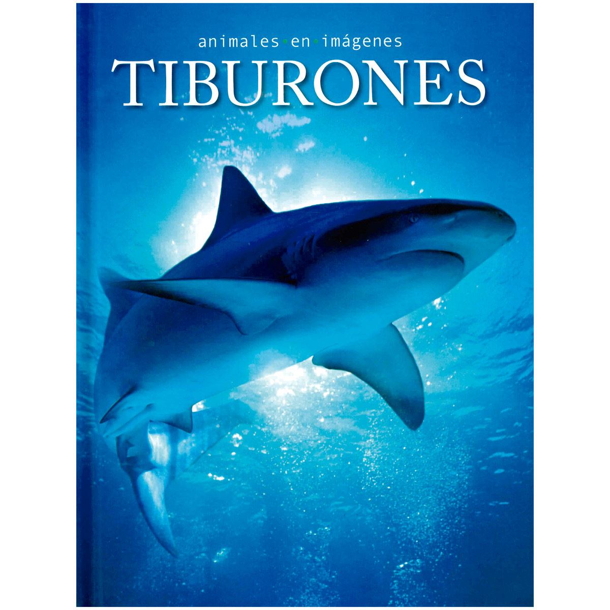 Animales en imágenes: tiburones