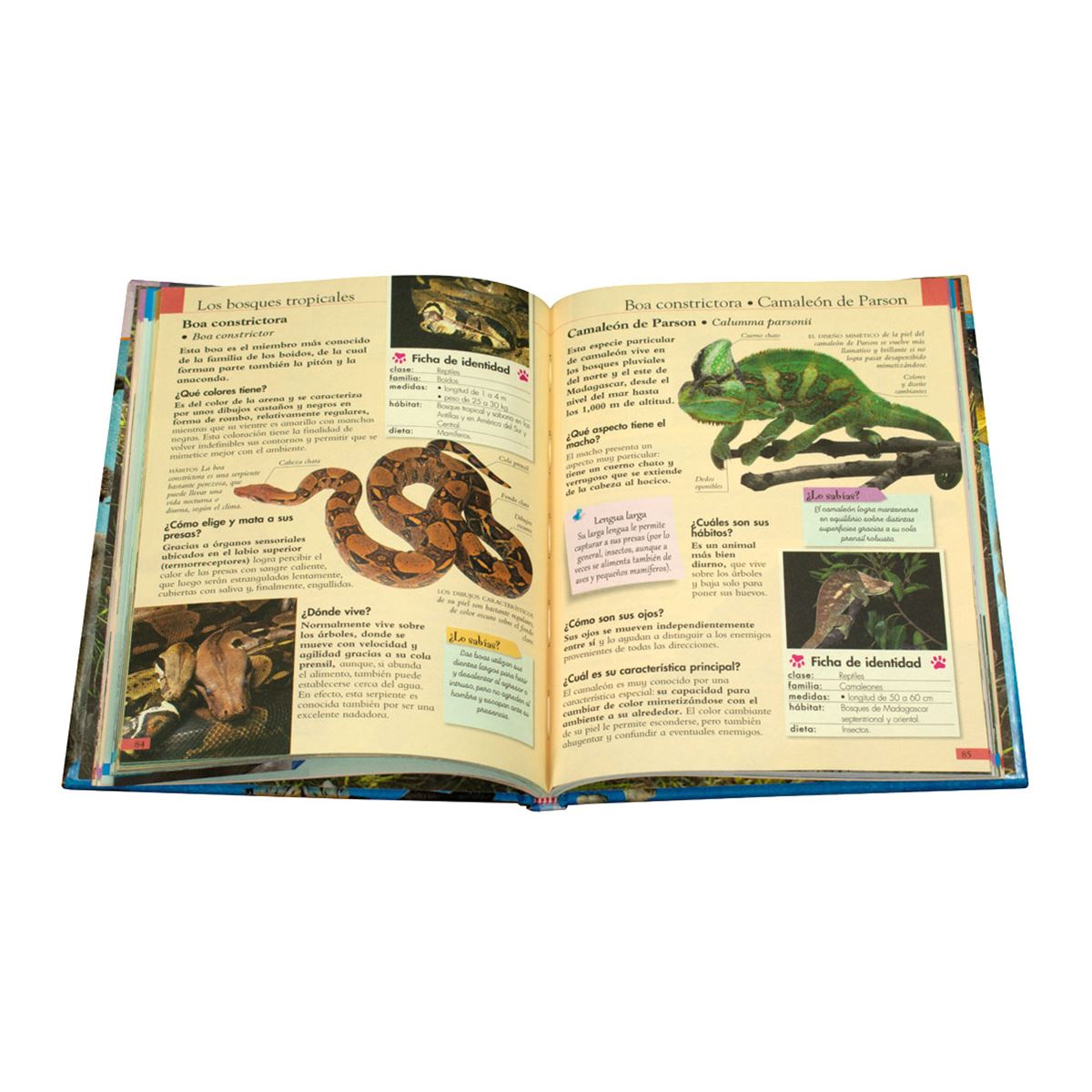 Mi Primera Biblioteca: Preguntas y Respuestas Sobre Los Animales