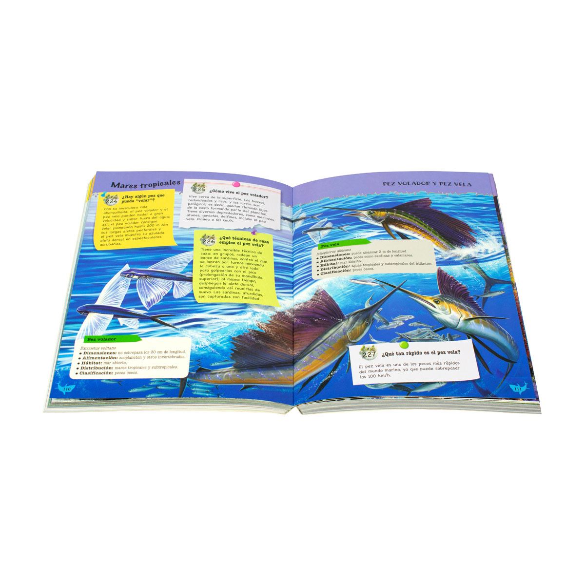 500 preguntas y respuestas sobre los animales marinos