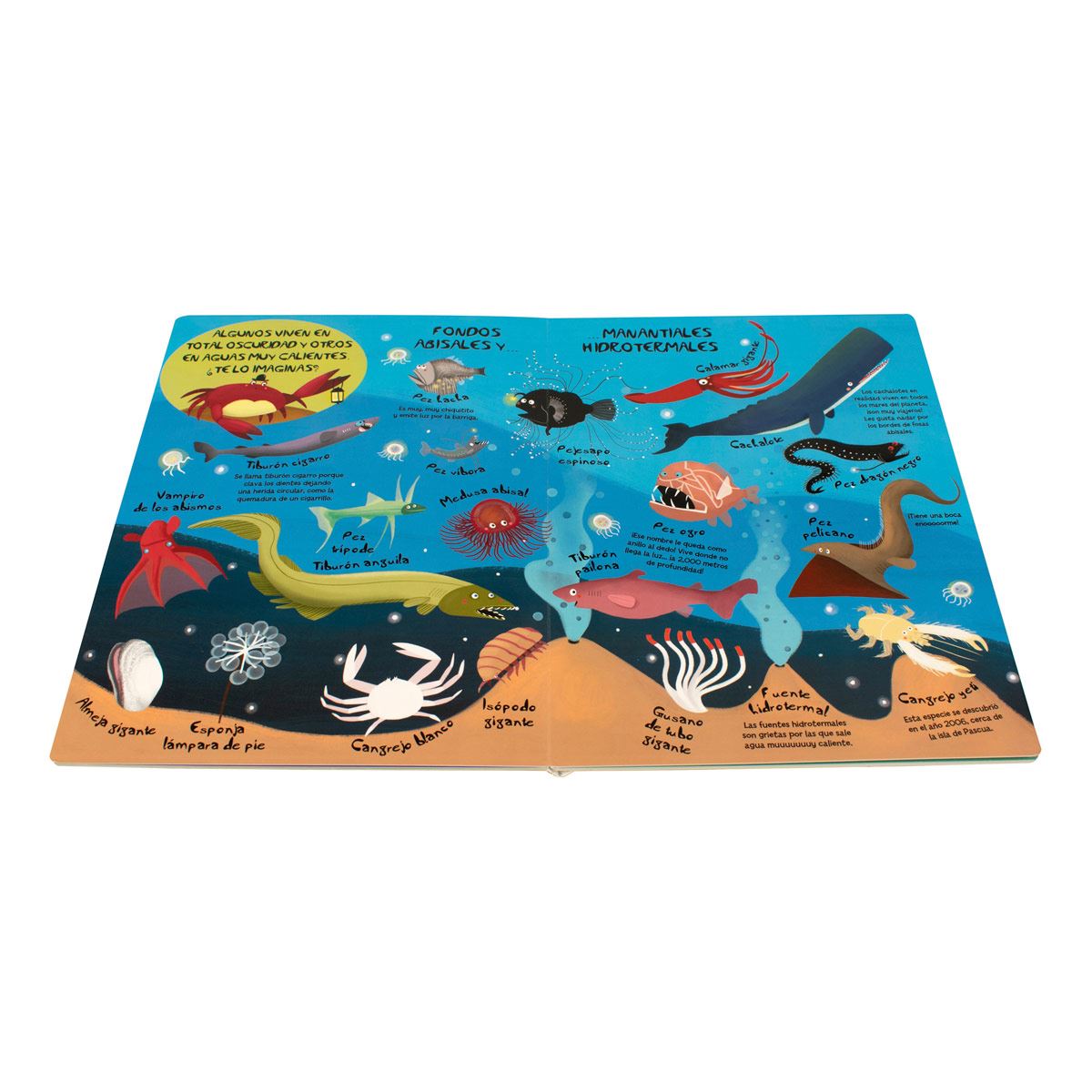 Mi gran libro de los animales marinos