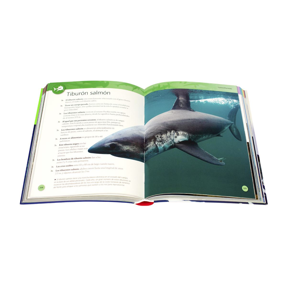 Enciclopedia de los Tiburones