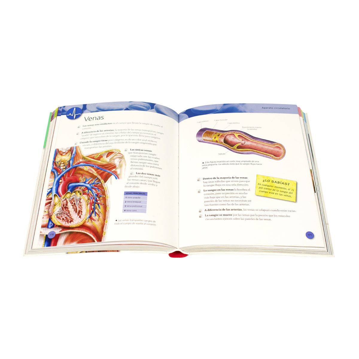 Enciclopedia del Cuerpo Humano
