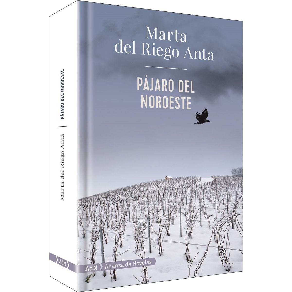 Pájaro del noroeste