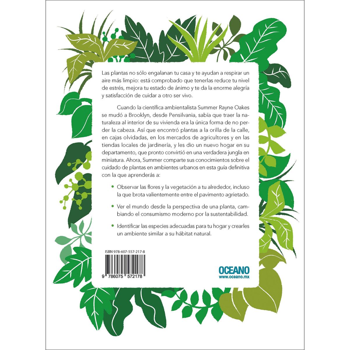 Cómo despertar el amor de una planta. Cultiva un espacio verde en tu hogar y en tu corazón